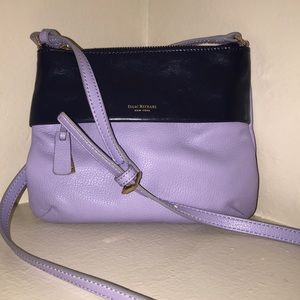 Purple and Navy Purse